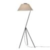 Paulmann Lampadaire Narve