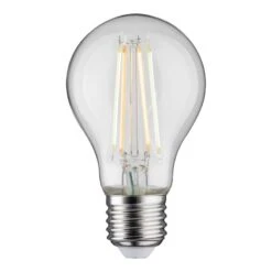 Paulmann Ampoule LED Thuir II