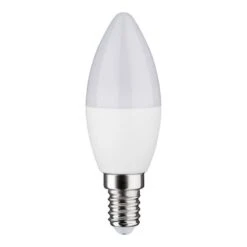 Paulmann Ampoule LED Tigy