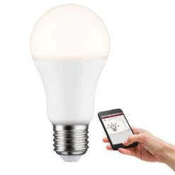 Paulmann Ampoule LED Roura -BRILLIANT Soldes Magasin 1000231941 201120 16071100273 DETAILS P000000001000231941