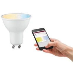 Paulmann Ampoule LED Royat -BRILLIANT Soldes Magasin 1000231947 201120 16071200288 DETAILS P000000001000231947