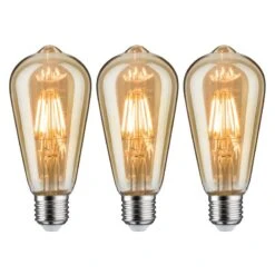 Paulmann Ampoules LED Dengie (lot De 3)