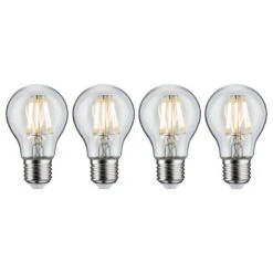 Paulmann Ampoules LED Kjell (lot De 4)