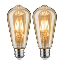 Paulmann Ampoules LED Dendera (lot De 2)