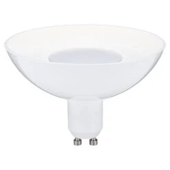 Paulmann Ampoule LED Duleek