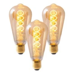 Ampoules LED Dilly III (lot De 3)