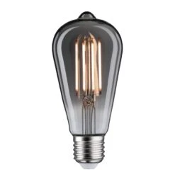 Paulmann Ampoule LED Maxmo