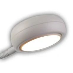 Lampe Enfant Animaux Sauvages -BRILLIANT Soldes Magasin 1000364759 230124 031 DETAILS P000000001000364759