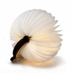 OOBOOK Mini Jungle Tigre -BRILLIANT Soldes Magasin 5ca725b25d5c46c987ca43deeff28241