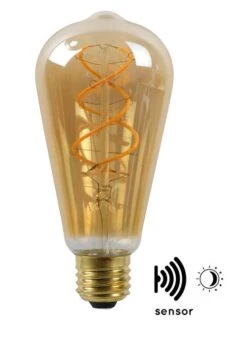 ST64 TWILIGHT SENSOR - Ampoule Filament -BRILLIANT Soldes Magasin 6247a2a376f14a58ba48ae1301d5ea60.cropped 496 580 1544 2135.processed