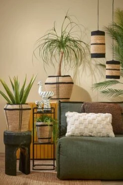 Lampe Suspendue Jinx 7 Lampe Suspendue Jinx -BRILLIANT Soldes Magasin 96fedf829a4540d39566339e255d2f87